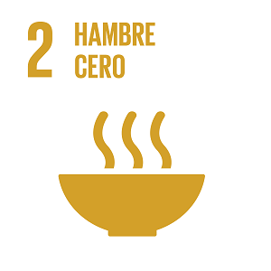 S_INVERTED SDG goals_icons-individual-RGB-02